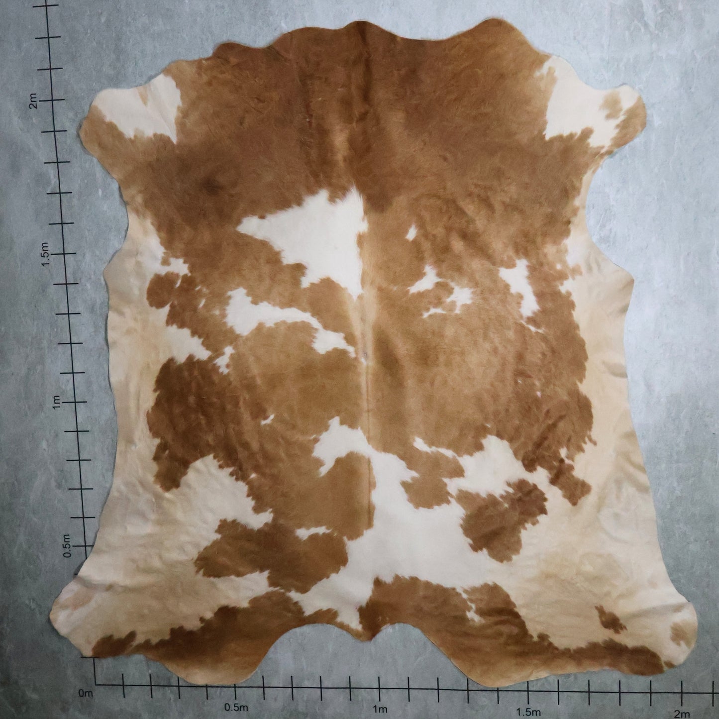 Premium Nguni Hide #AAG5319 (2.0m X 2.2m)