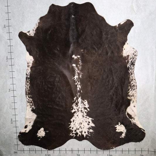 Premium Nguni Hide - Dark Chocolate Brown & White | AAG5327 | 2.0m X 2.3m