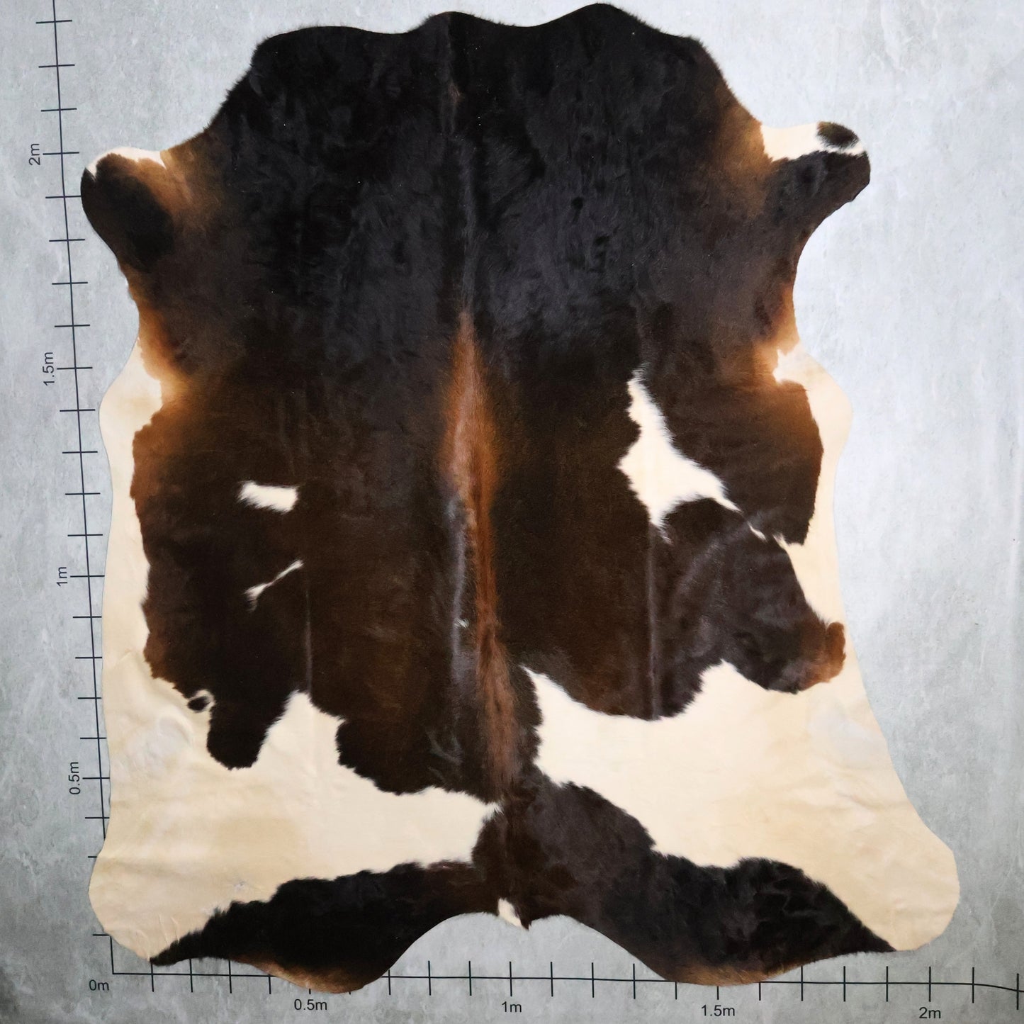 Premium Nguni Hide - Tri Colour Dark Chocolate Brown, Chestnut Brown & White | AAG5332 | 2.0m x 2.3m