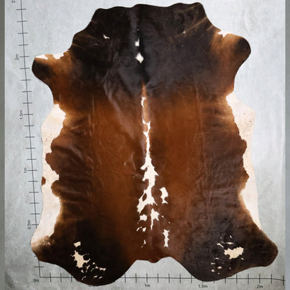 Premium Nguni Hide - Tri Colour Dark Chocolate Brown, Chestnut Brown & White | AAG5336 | 2.1m x 2.4m