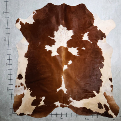 Premium Nguni Hide - Chestnut Brown & White | AAG5337 | 2.1m x 2.1m