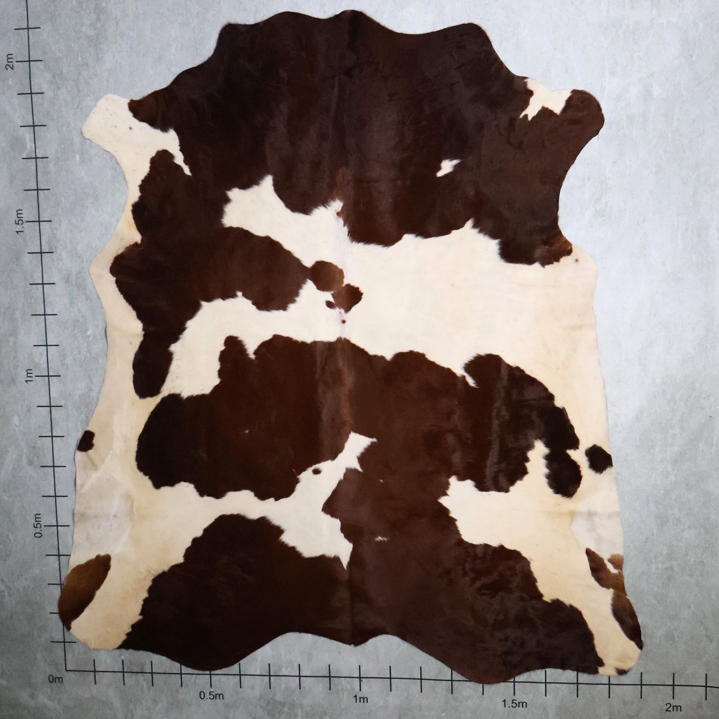 Premium Nguni Hide - Chestnut Brown & White | AAG5341 | 1.9m x 2.1m
