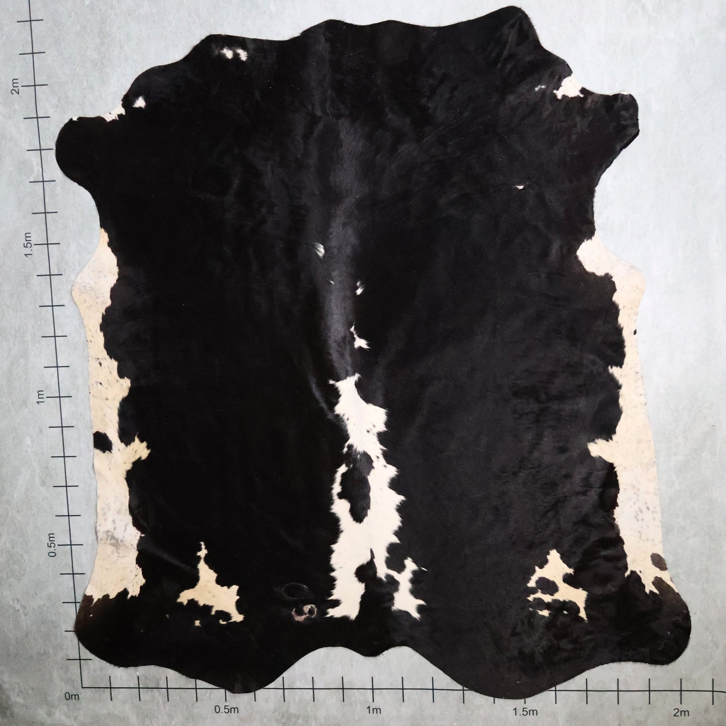 Premium Nguni Hide - Black & White | AAG5344 | 2.0m x 2.1m