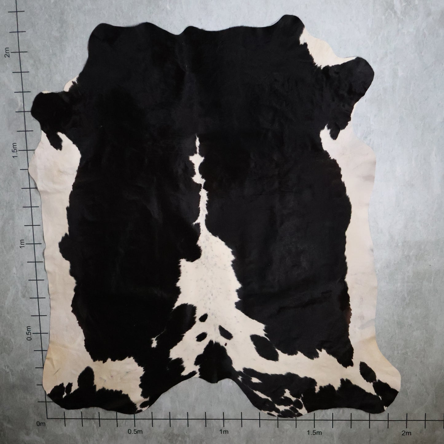 Premium Nguni Hide - Black & White | AAG5352 | 1.9m x 2.1m