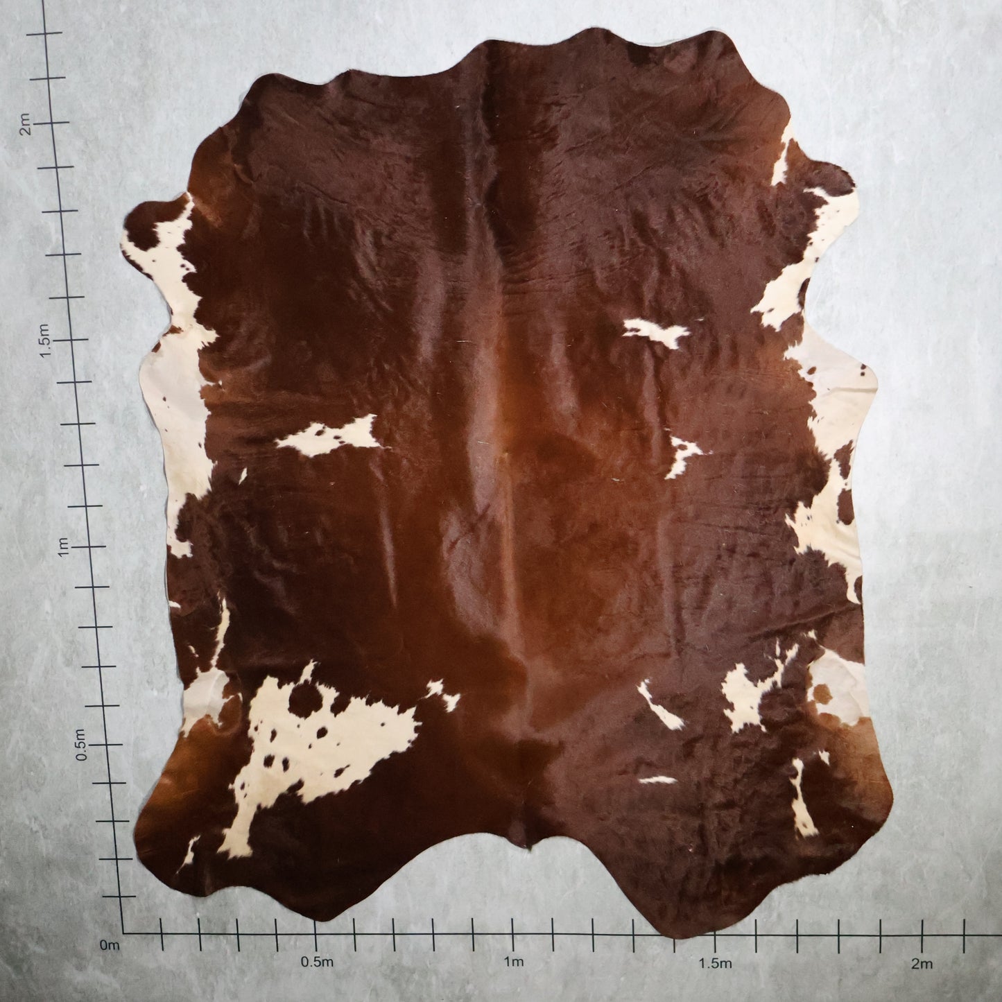 Premium Nguni Hide - Chestnut Brown & White | AAG5355 | 1.9m x 2.1m