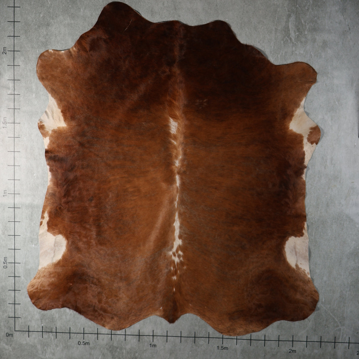 Premium Nguni Hide - Chestnut Brown & White | AAG5357 | 2.1m x 2.3m