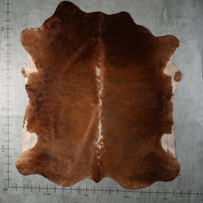 Premium Nguni Hide - Chestnut Brown & White | AAG5357 | 2.1m x 2.3m