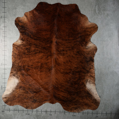 Premium Nguni Hide - Rich Chestnut Brindle | AAG5359 | 2.0m x 2.3m