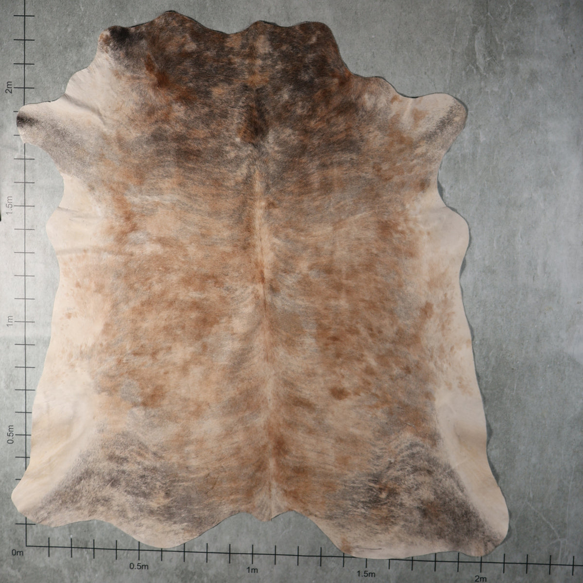 Premium Nguni Hide - Beige, Grey & Light Brown | AAG5362 | 2.1m x 2.3m
