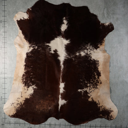 Premium Nguni Hide - Chestnut Brown & Brown/White | AAG5364 | 2.2m x 2.3m