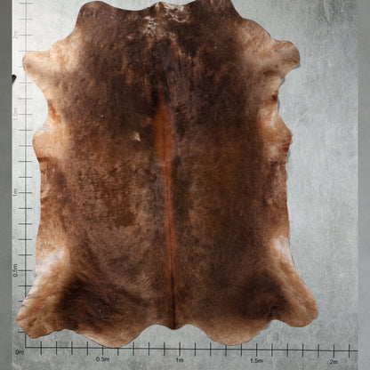 Premium Nguni Hide - Chocolate Brown | AAG5366 | 1.9m x 2.2m