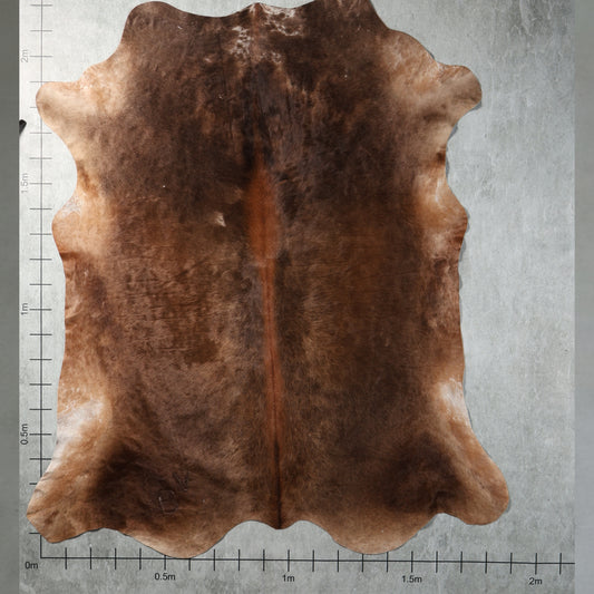 Premium Nguni Hide - Chocolate Brown | AAG5366 | 1.9m x 2.2m