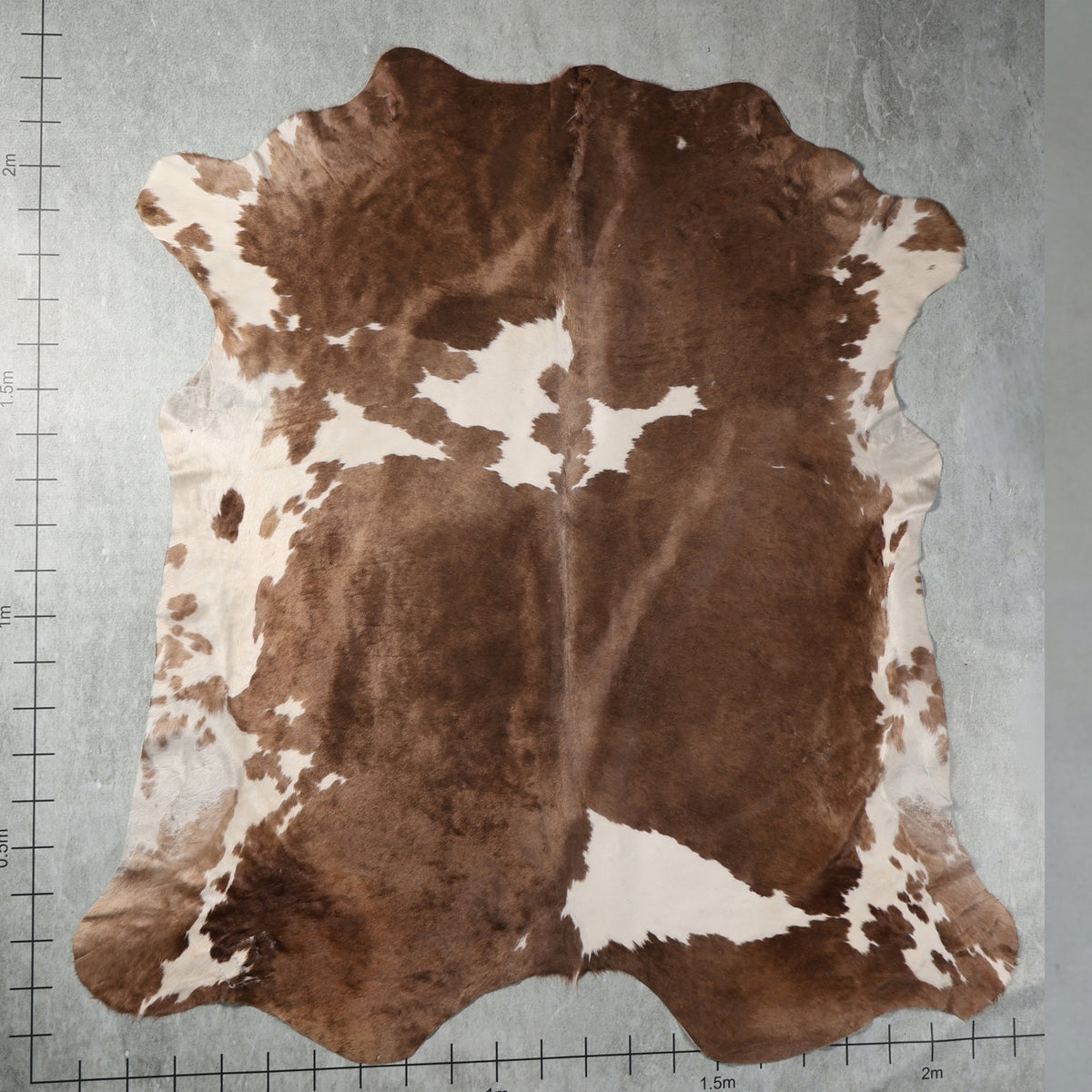 Premium Nguni Hide - Warm Brown & White | AAG5370 | 2.2m x 2.2m