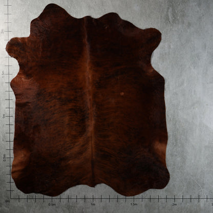 Premium Nguni Hide - Brindle Dark Reddish Brown | AAG5394 | 1.9m x 2.3m