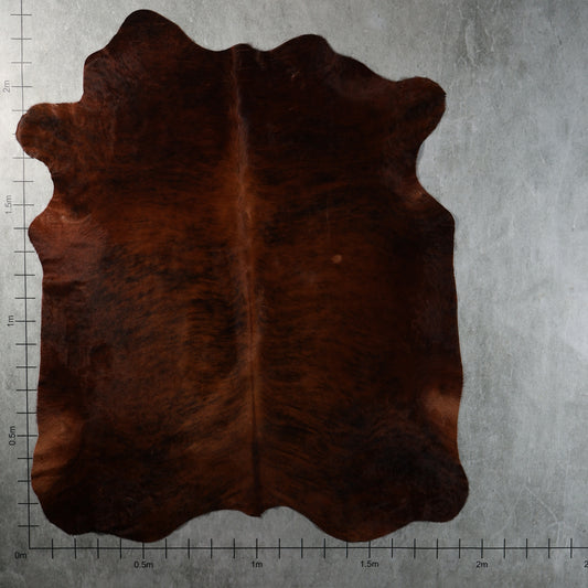 Premium Nguni Hide - Brindle Dark Reddish Brown | AAG5394 | 1.9m x 2.3m