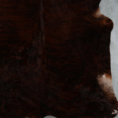 Premium Nguni Hide - Brindle Dark Chocolate Brown | AAG5396 | 1.9m x 2.4m
