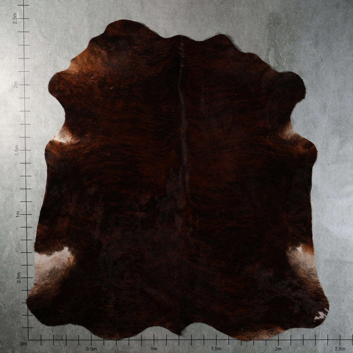 Premium Nguni Hide - Brindle Dark Chocolate Brown | AAG5396 | 1.9m x 2.4m