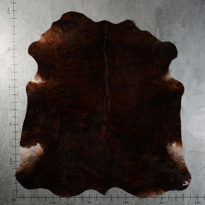 Premium Nguni Hide - Brindle Dark Chocolate Brown | AAG5396 | 1.9m x 2.4m