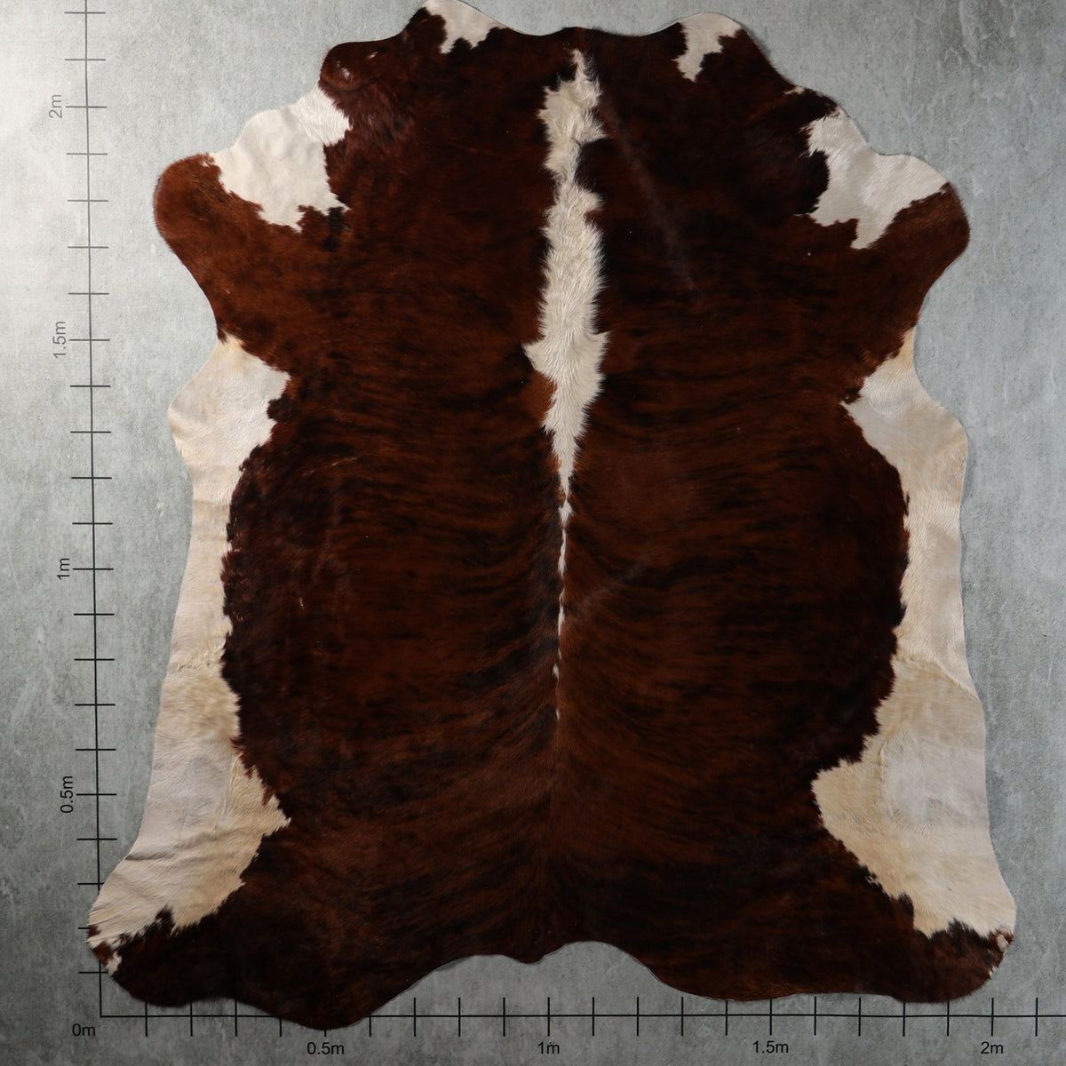 Premium Nguni Cowhide - Brindle Dark Chestnut Brown & White | AAG5398 | 2.0m x 2.2m