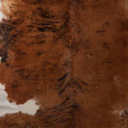 Premium Nguni Cowhide - Reddish Brown Brindle & White | AAG5400 | 2.1m x 2.4m