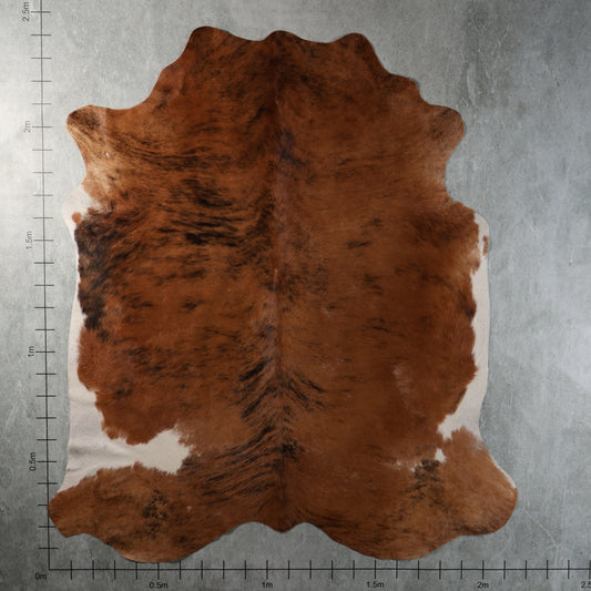 Premium Nguni Cowhide - Reddish Brown Brindle & White | AAG5400 | 2.1m x 2.4m