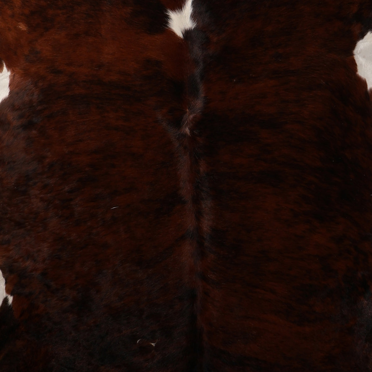 Premium Nguni Cowhide - Dark Reddish Brown & White | AAG5402 | 2.1m x 2.2m