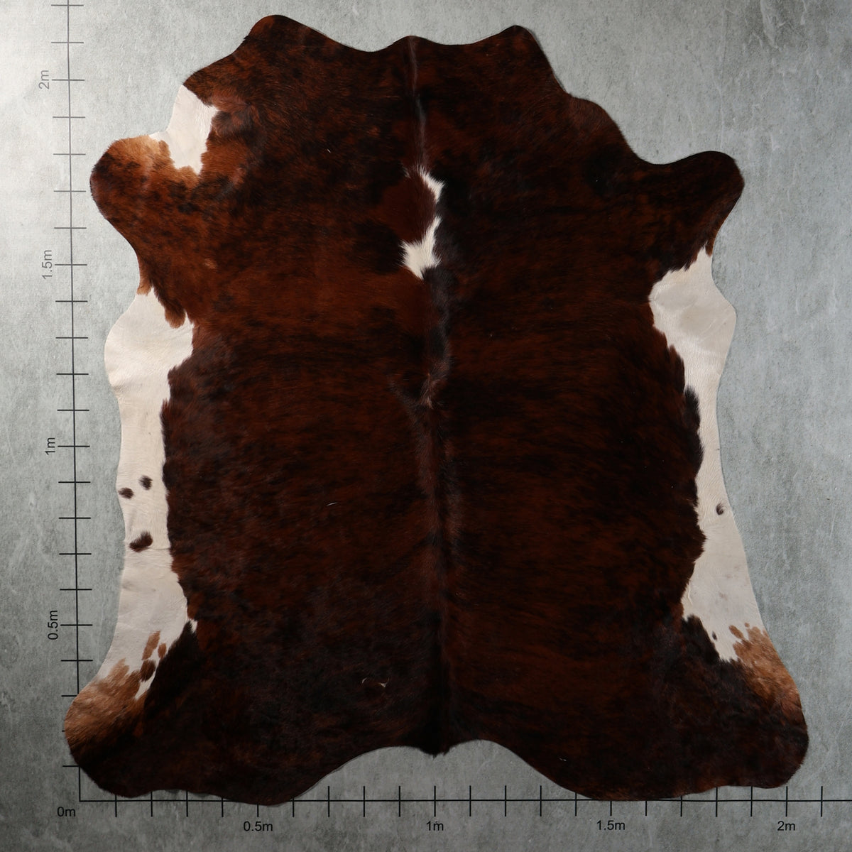 Premium Nguni Cowhide - Dark Reddish Brown & White | AAG5402 | 2.1m x 2.2m