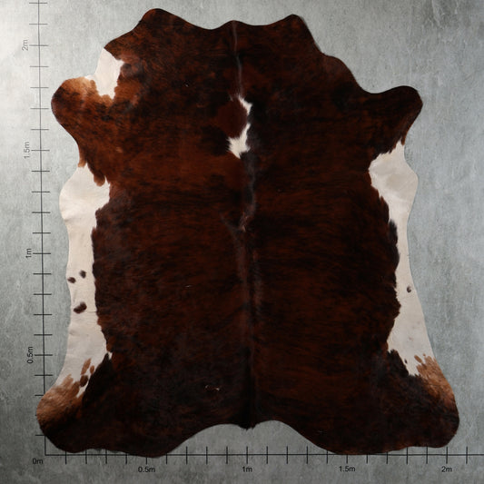 Premium Nguni Cowhide - Dark Reddish Brown & White | AAG5402 | 2.1m x 2.2m