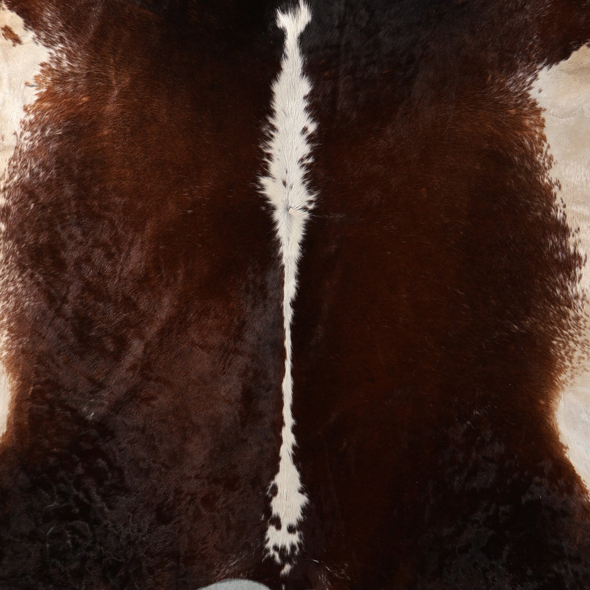Premium Nguni Cowhide - Dark Chocolate Brown & White | AAG5413 | 2.2m x 2.2m