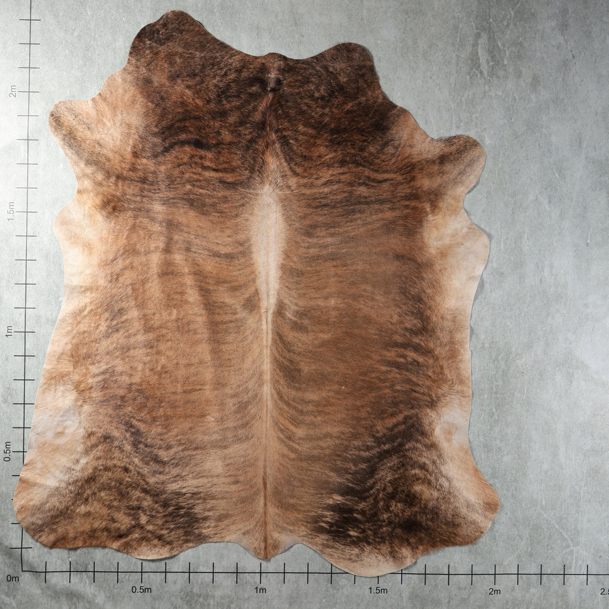 Premium Nguni Cowhide - Light Brown Brindle | AAG5419 | 2.0m x 2.3m