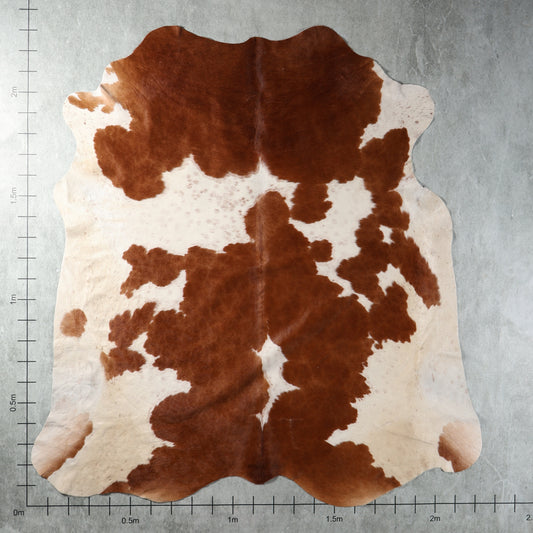 Premium Nguni Cowhide - Chestnut Brown & White Patches | AAG5425 | 2.2m x 2.3m