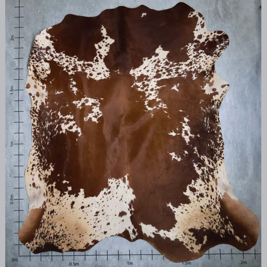 Premium Nguni Hide #AAS7825