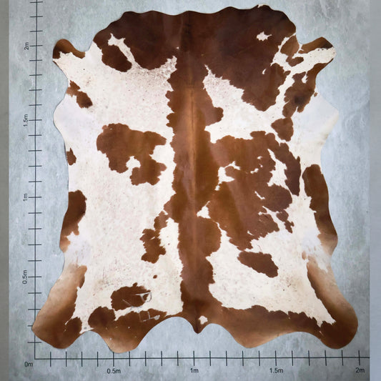 Premium Nguni Hide #AAS7826