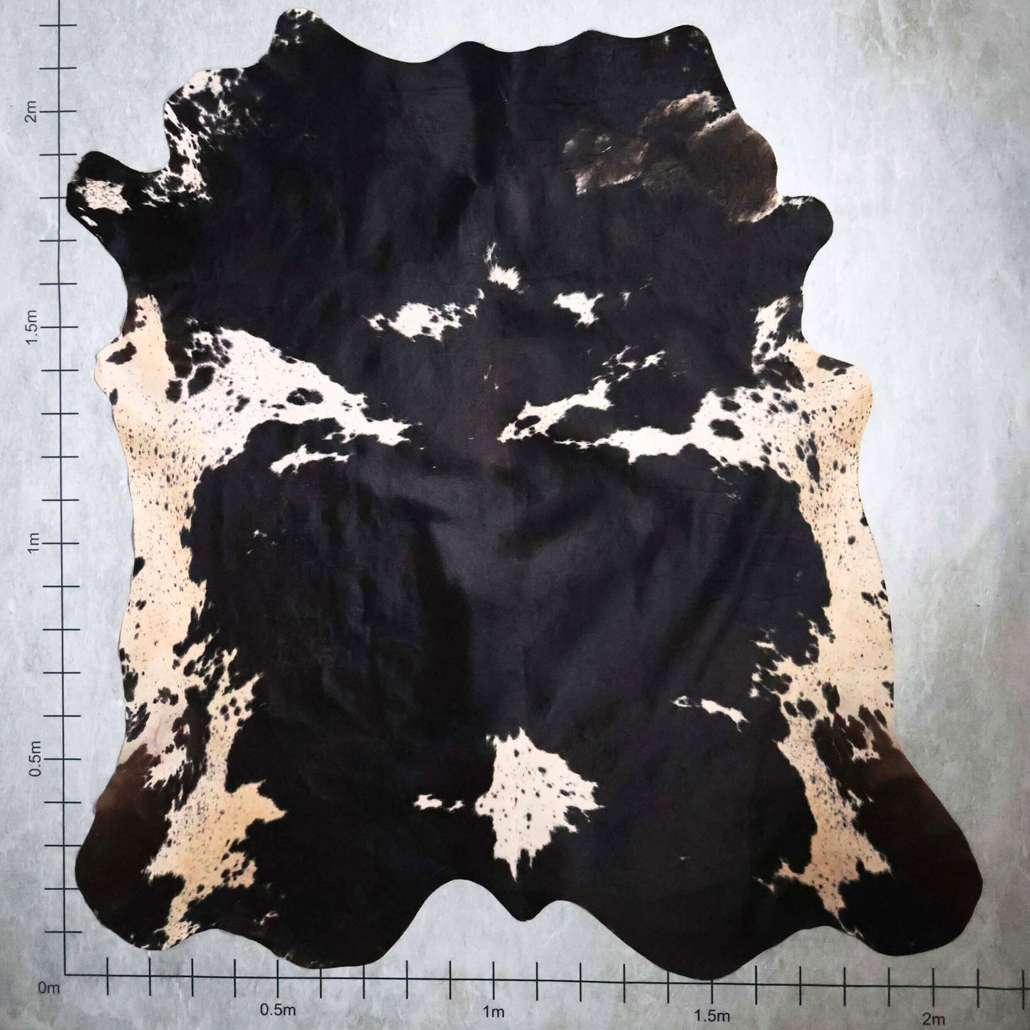 Premium Nguni Hide #AAS7831