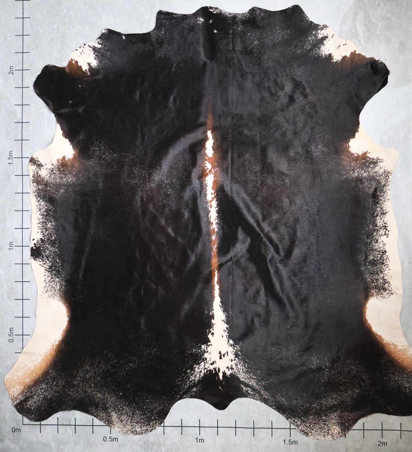 Premium Nguni Hide #AAS7836