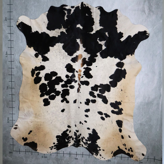 Premium Nguni Hide #AAS7863