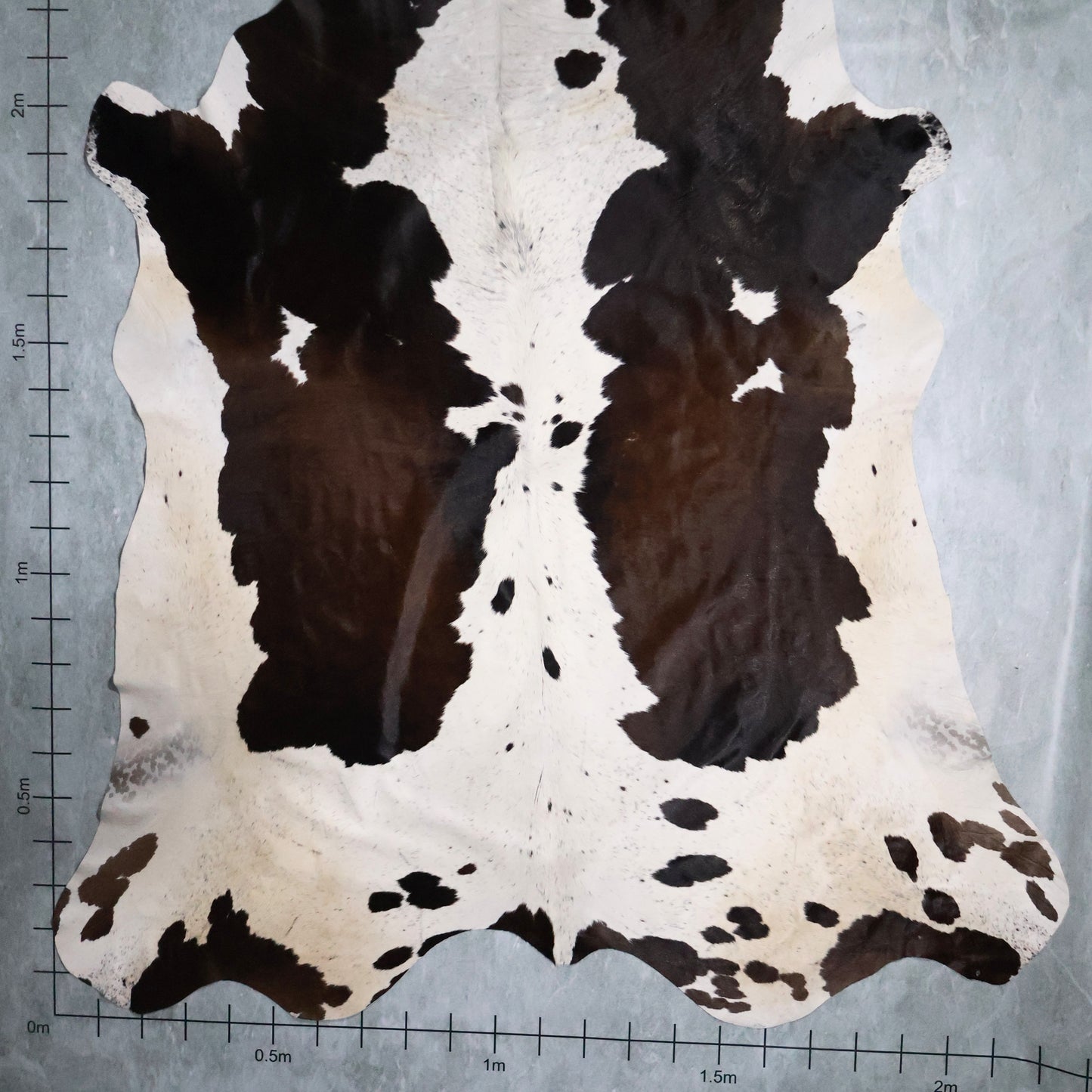 Premium Nguni Hide #AAS7877