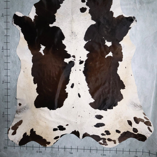 Premium Nguni Hide #AAS7877