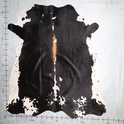 Premium Nguni Hide #AAS7884