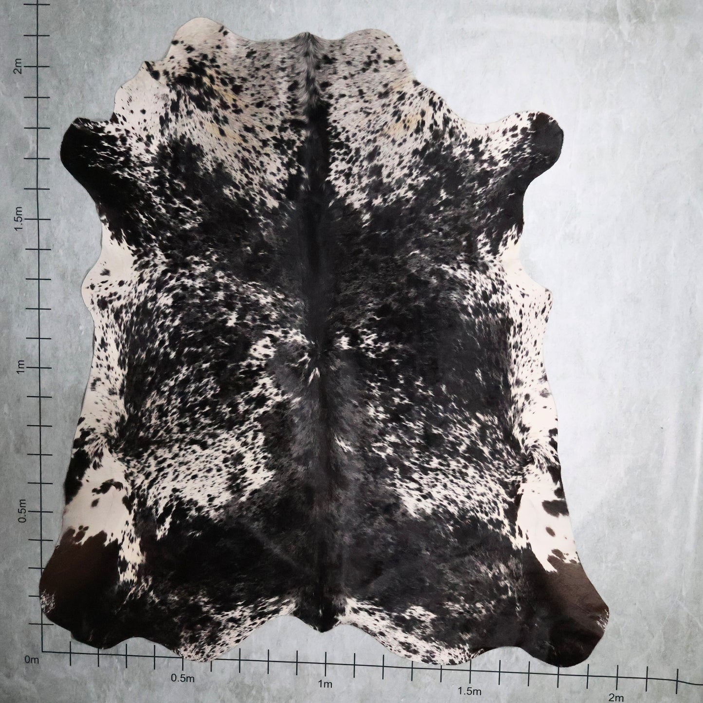 Premium Nguni Hide #AAS7886