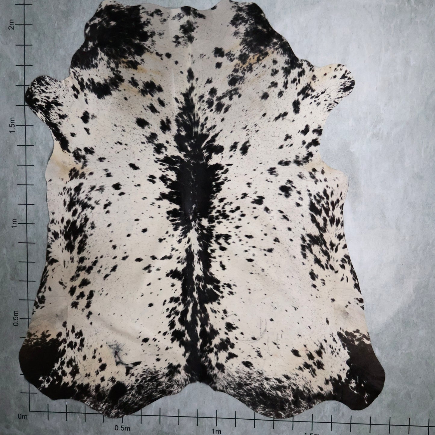 Premium Nguni Hide #AAS7887