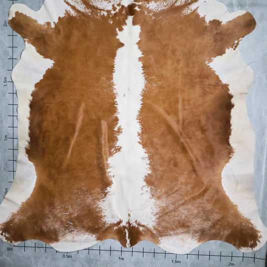 Premium Nguni Hide #AAS7891