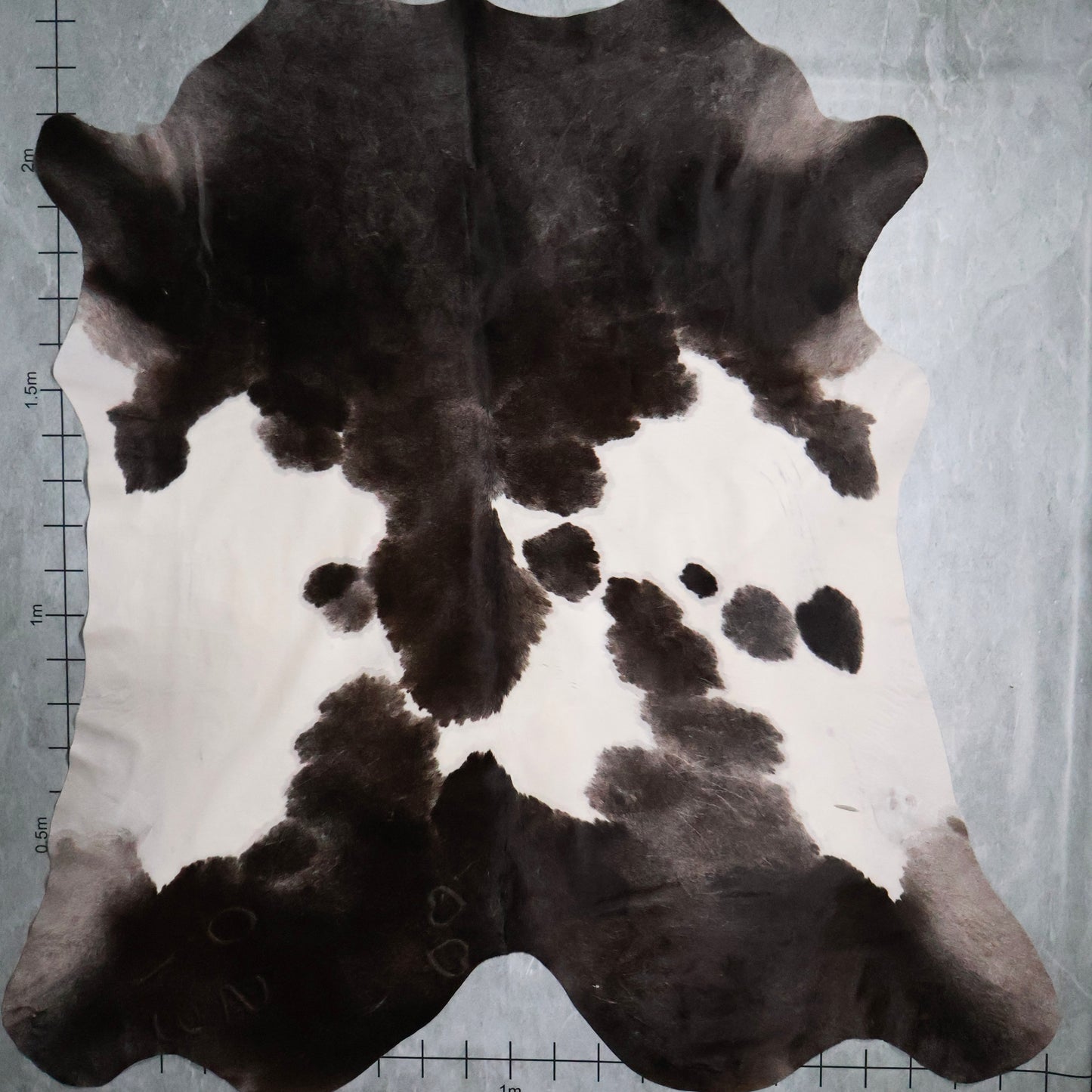 Premium Nguni Hide #AAS7892