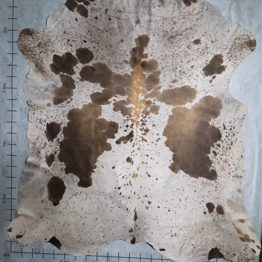 Premium Nguni Hide #AAS7915