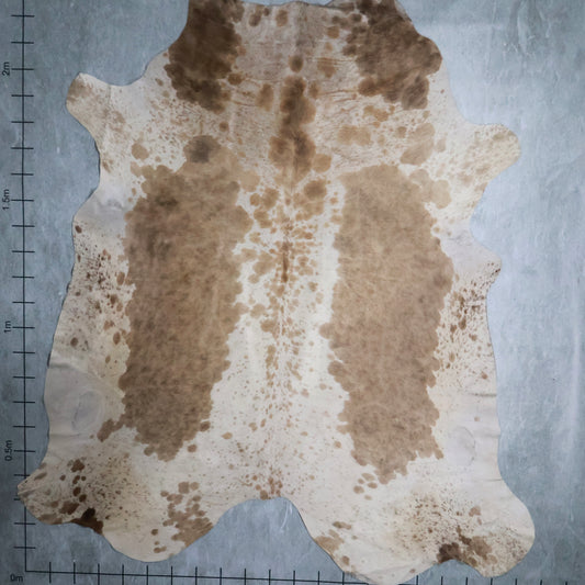 Premium Nguni Hide #AAS7919