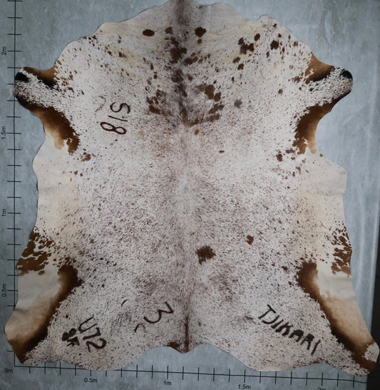 Premium Nguni Hide #AAS7931