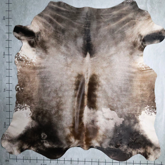 Premium Nguni Hide #AAS7937