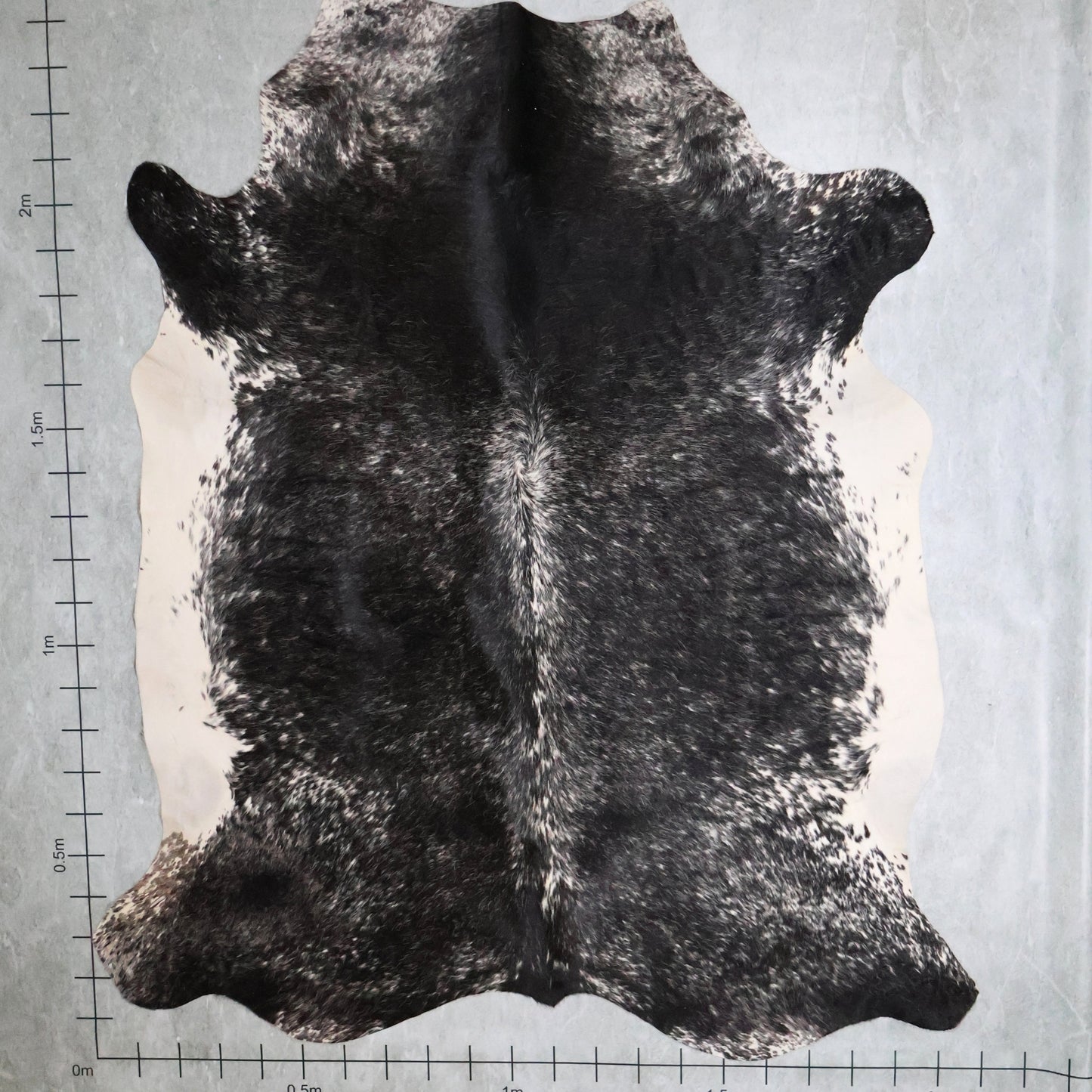 Premium Nguni Hide #AAS7950