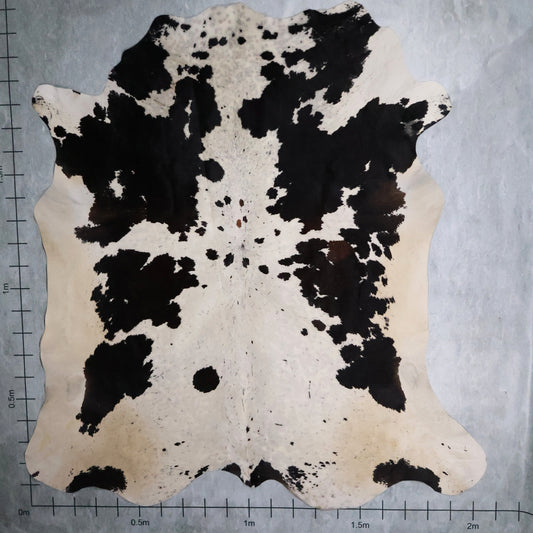 Premium Nguni Hide #AAS7966