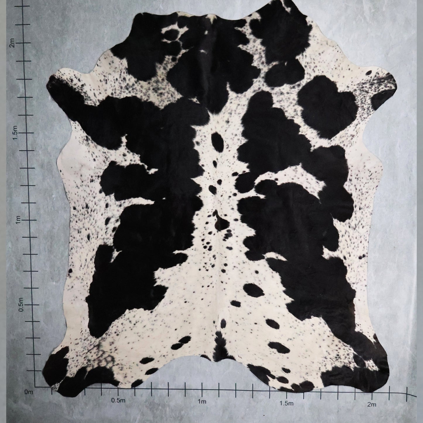 Premium Nguni Hide #AAS7971